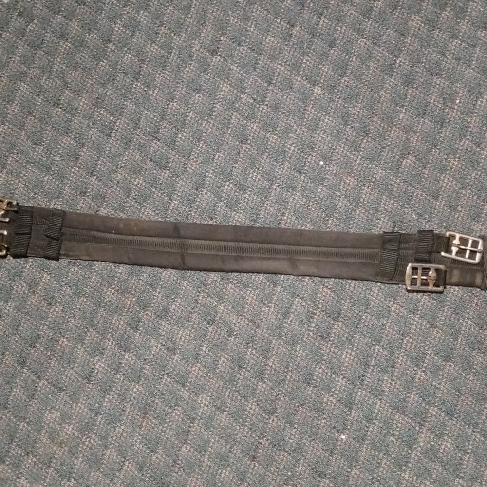 Horse dressage girth